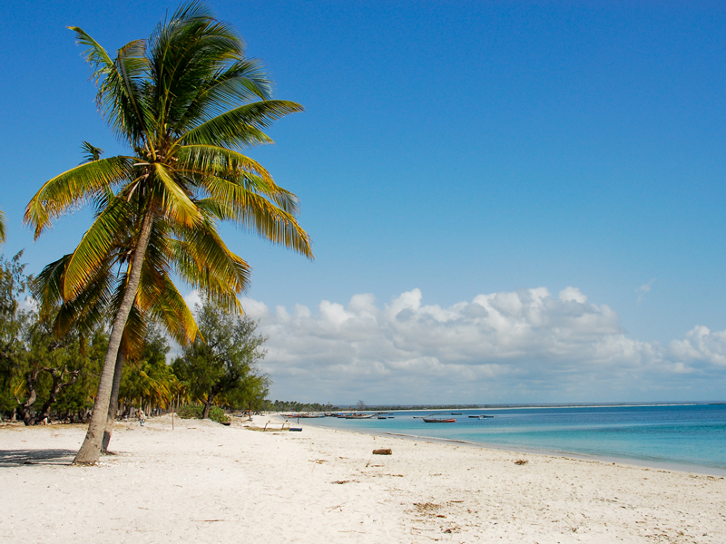 Mozambique Beach